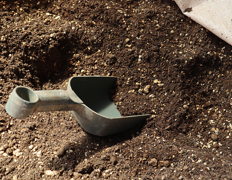 UST 基本土地 61枚 バラ売り可 UST 基本土地 61枚 バラ売り可 UST 基本