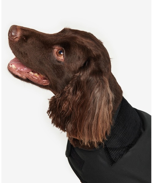 Barbour（バブアー） 犬 服 ワックス コットン ドッグ コート