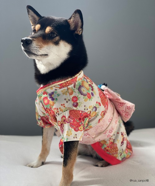 ONEKOSAMA OINUSAMA（おねこさま・おいぬさま） 犬 服 「新色」着物風