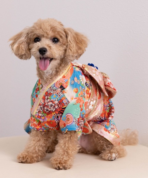ONEKOSAMA OINUSAMA（おねこさま・おいぬさま） 犬 服 「新色」着物風
