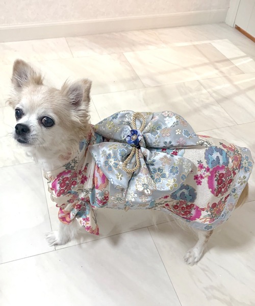 ONEKOSAMA OINUSAMA（おねこさま・おいぬさま） 犬 服 「新色」着物風