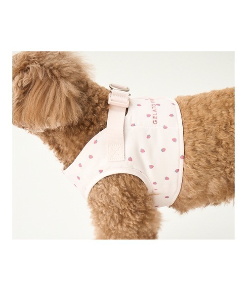 gelato pique（ジェラートピケ） 犬 ハーネス リード 「CAT＆DOG