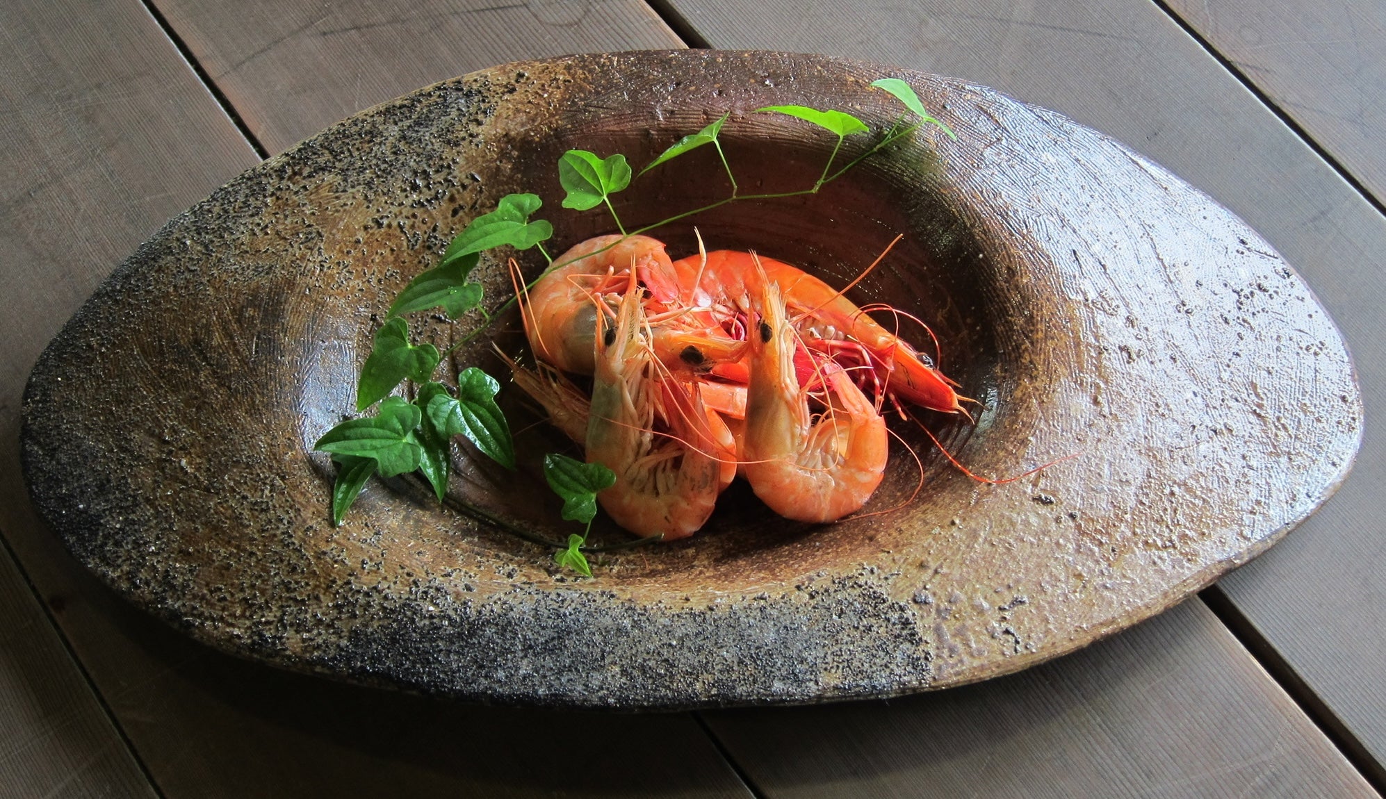 zikisai – zikisai.com