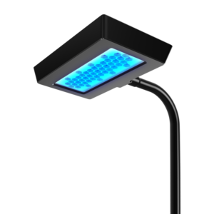 ZOOX Reef Nano Mini – ZOOX