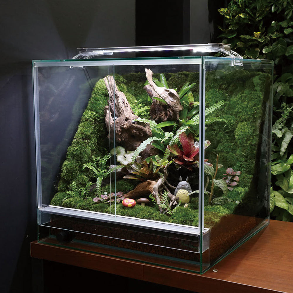 45cmイモリウム テラリウム パルダリウム水槽 レインフォレスト