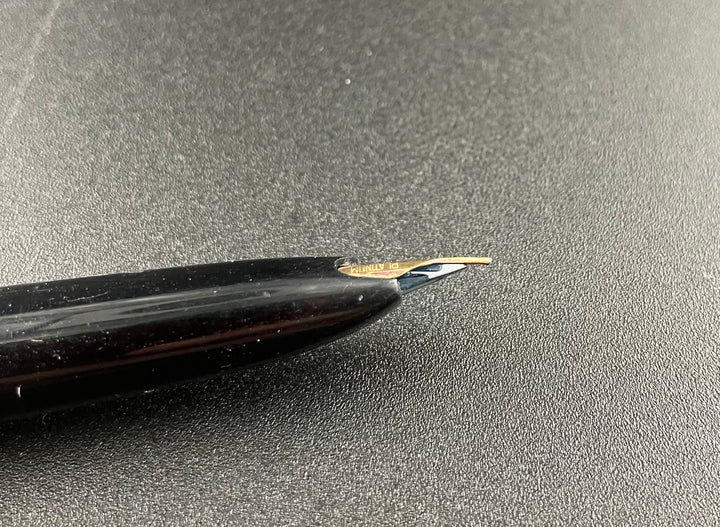 Platinum P66-100 Fountain Pen 14K Gold Fine Nib – G.C. Murphy