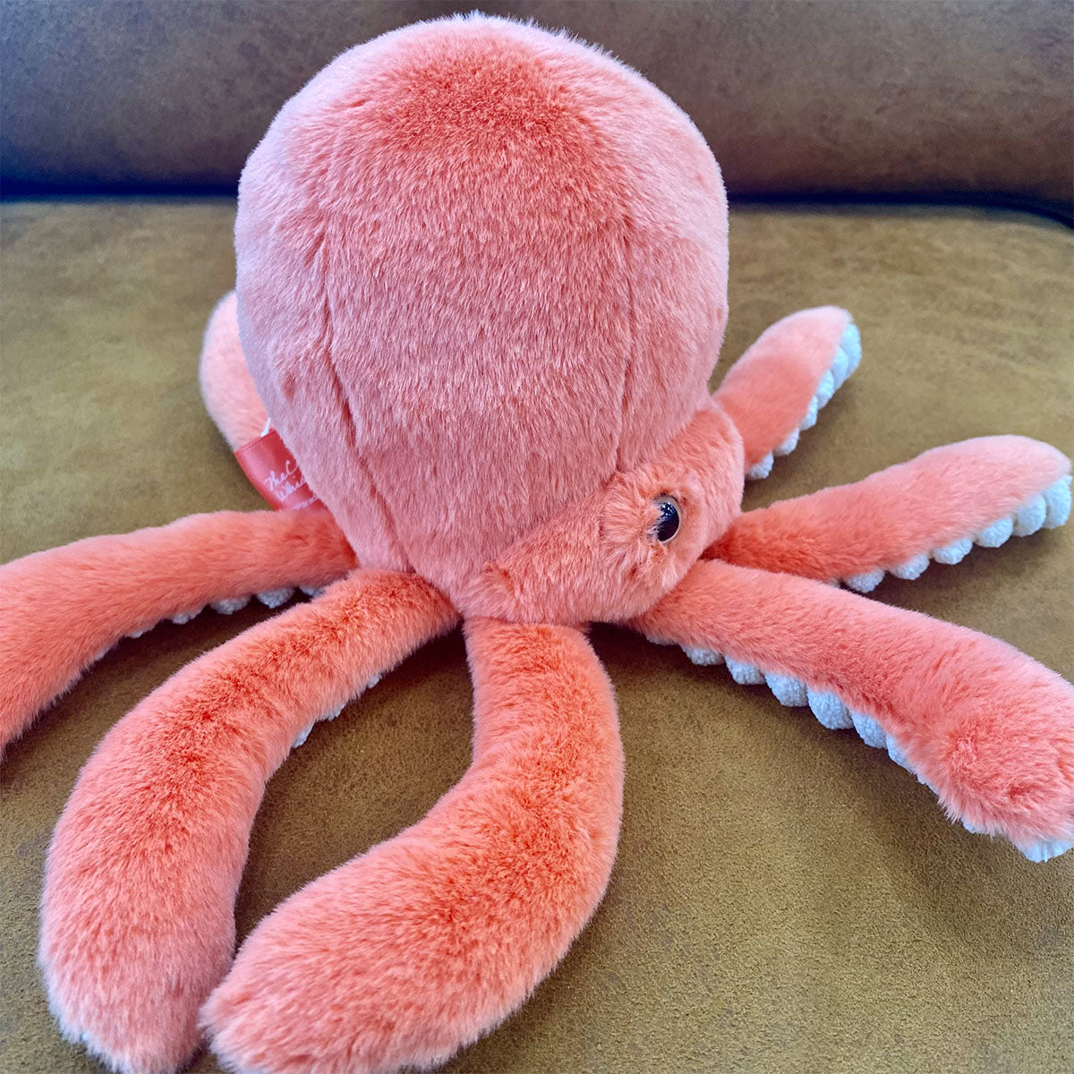 Paradox Live BIRTHDAY GOODS 闇堂 四季 – GCRESTORE ジークレストア