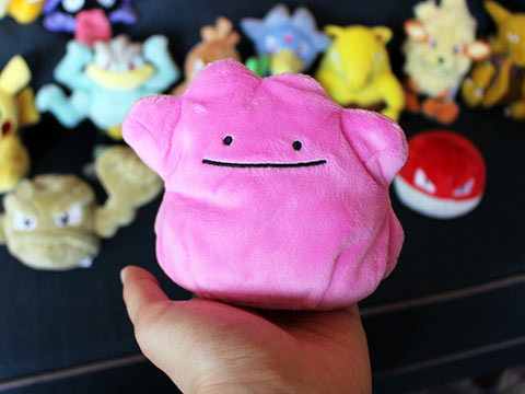ポケモン金銀のぬいぐるみ127匹が発売！手のひらサイズの「Pokémon fit