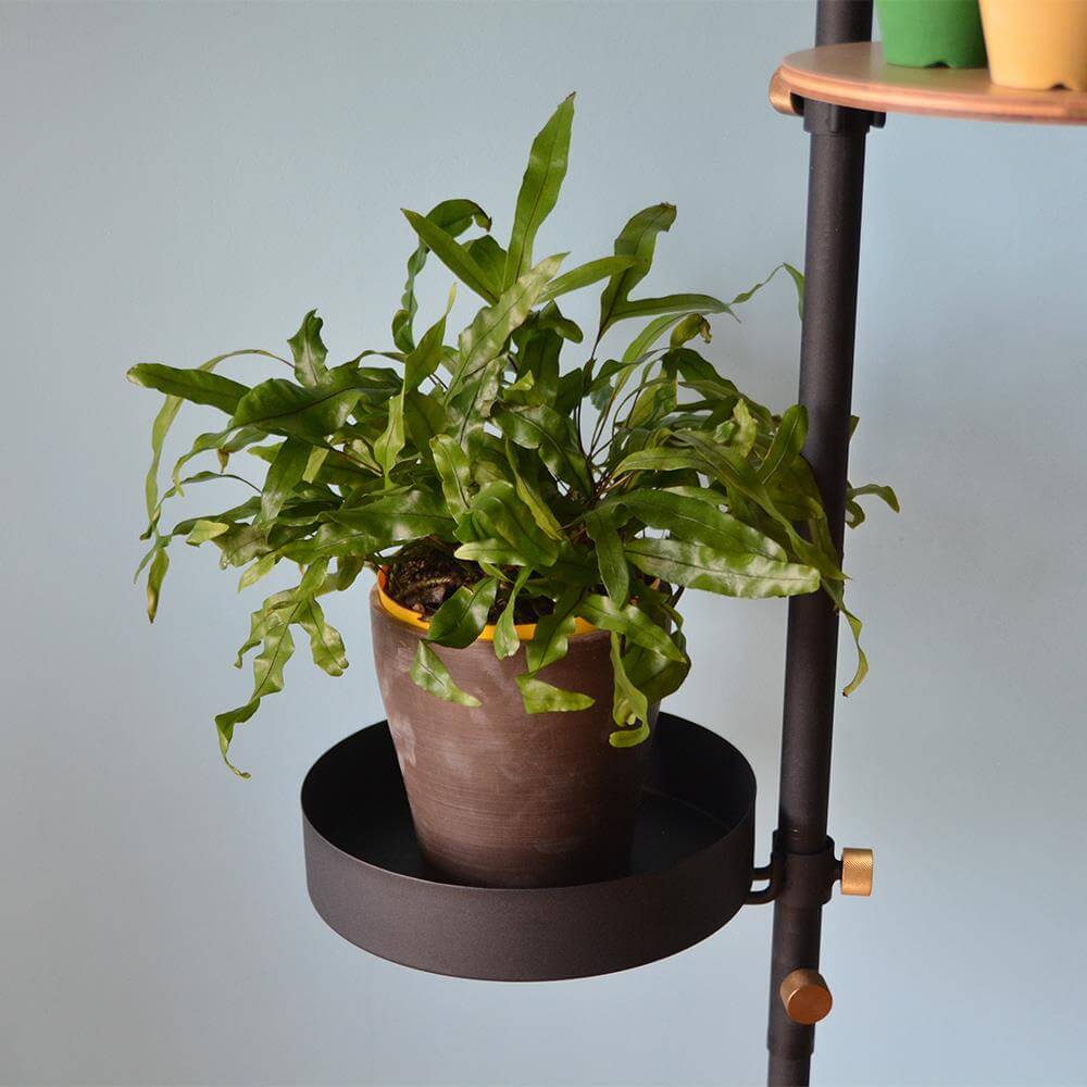 DRAW A LINE(ドローアライン) パーソナルクローク 突っ張りセット