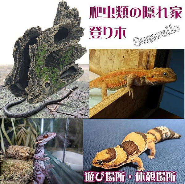 Qoo10] 爬虫類 隠れ家 登り木 遊び場 流木 水