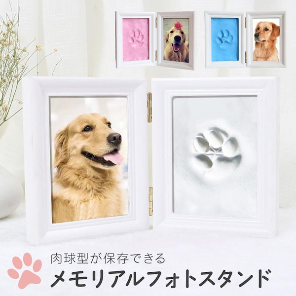 Qoo10] 新商品プロモーション，数量限定 フォトフ