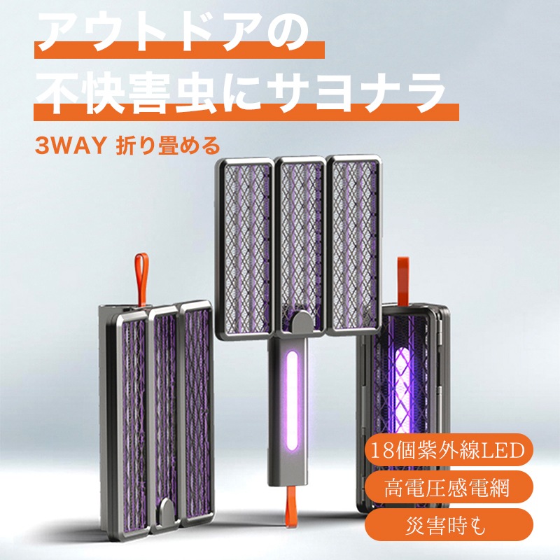 趙 国明 チョウ コクメイ 白猫 絵画 国際洋画家