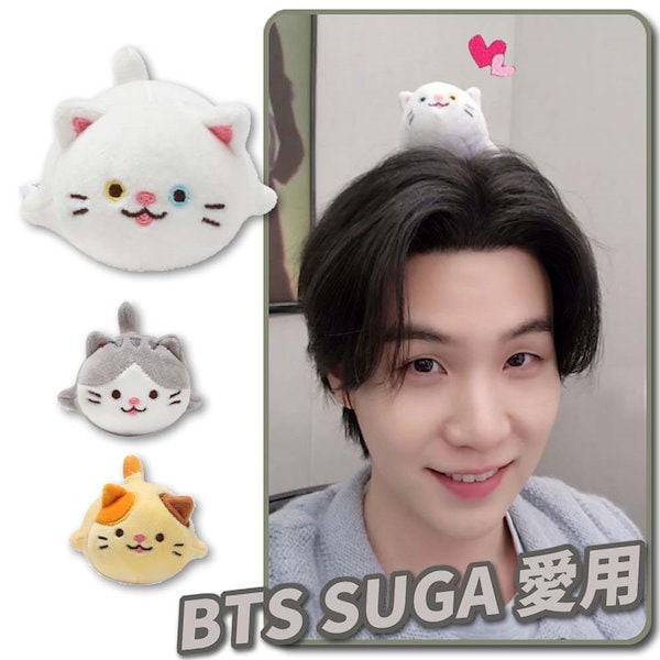BTS ぬいぐるみ 10cm SUGA AgustD ユンギ ジン テテ ジミン BTS