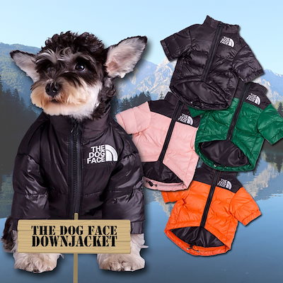 Qoo10] THE DOG FACE 犬用ダウンジャ : 犬用品