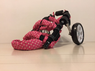 犬の2輪車椅子-価格 | 犬の歩行器・車椅子の専門工房 ゲンキサクラ