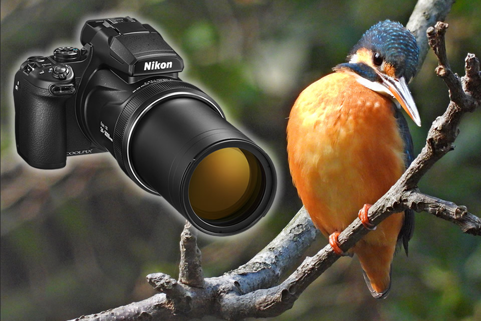 3000mm相当の超望遠ズームで遠くの野鳥にズームイン！「ニコン COOLPIX