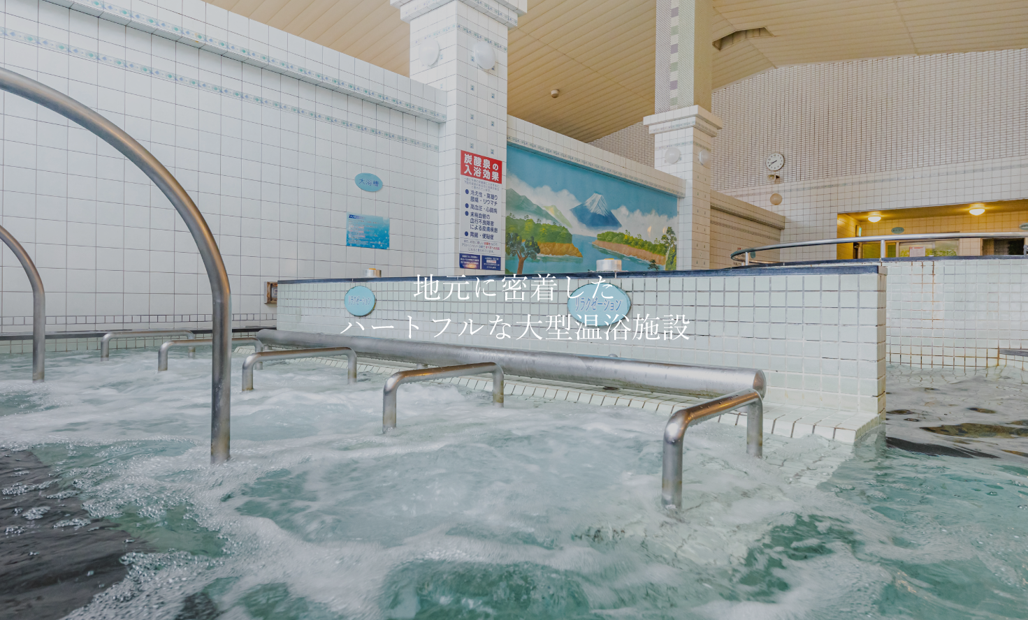 家庭用温浴器（ほ～むランド） 【公式通販】