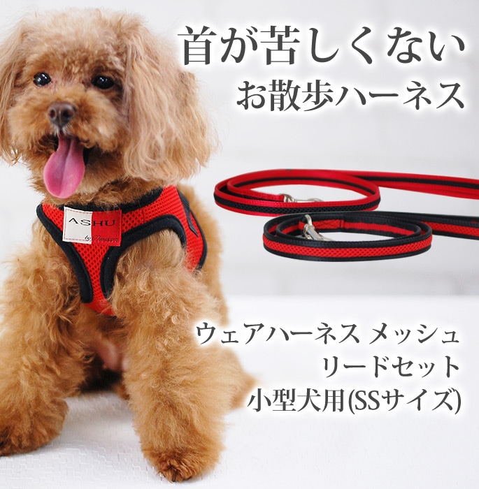 リード＆ハーネス2点セット‼️ RED＆ヌメ 【公式通販】