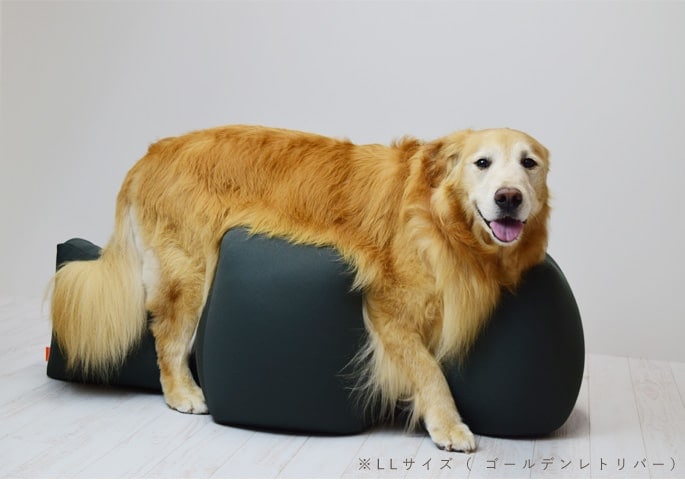 犬 介護 クッションならリラクッション｜老犬の寝たきり・床ずれ防止
