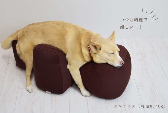 愛犬用】 リラクッション用カバー S～3Lブラウン ※本体別売り※【カバー