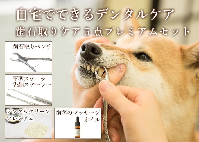 愛犬用歯石取りケア5点プレミアムセット｜ドッグフードの通販・帝塚山