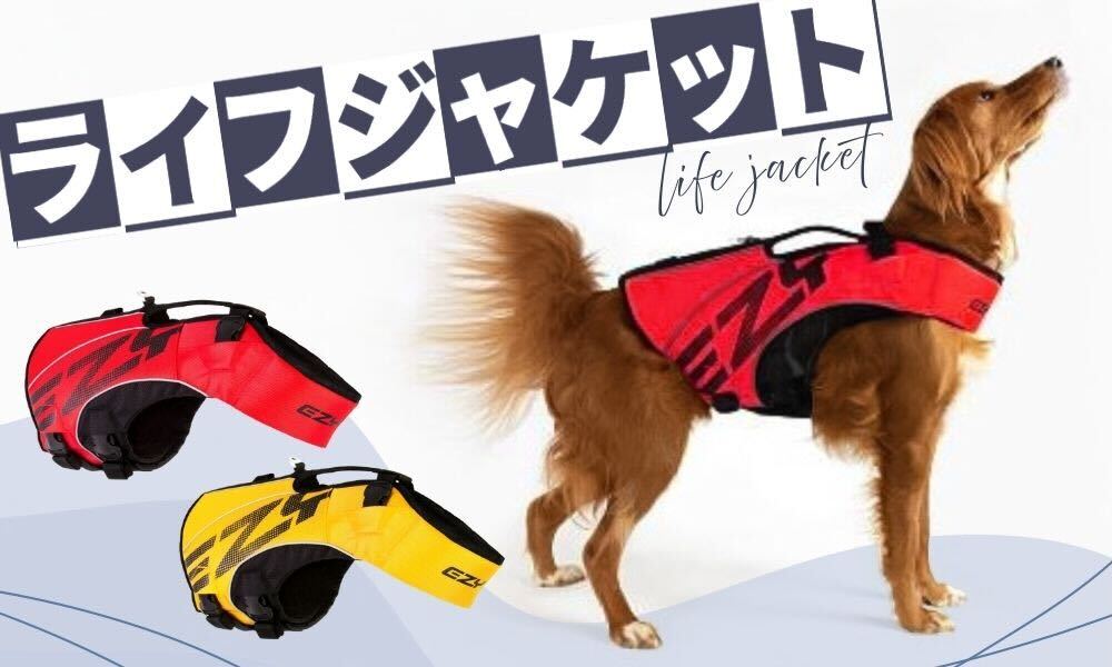 ファーストチョイス ChoiceS 成犬用ラム 成犬用【ブリーダー用