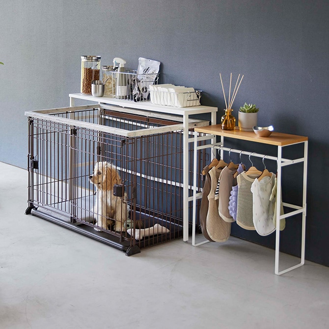 ドラミン】棚キノコ 付コルクシェルターM ③④ 棚キノコ 付コルク