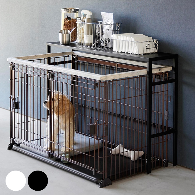 ドラミン】棚キノコ 付コルクシェルターM ③④ ドラミン】棚キノコ 付