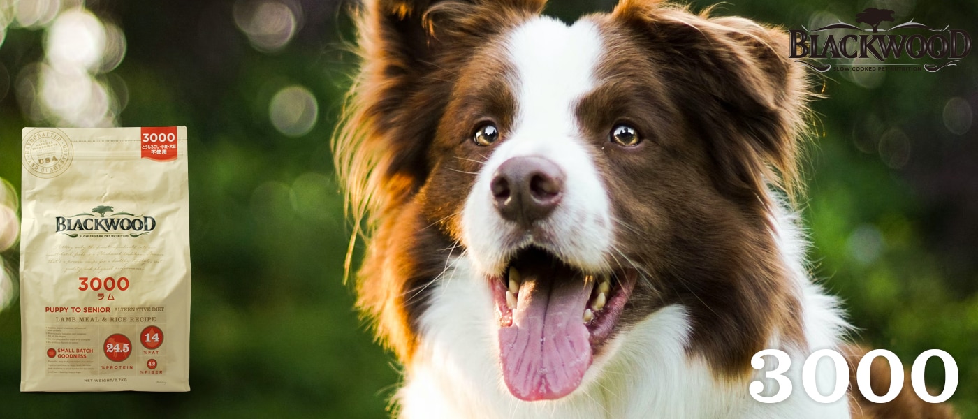 ユーカヌバ 全犬種用 ラム 成犬用 15kg ユーカヌバ 15kg 全犬種用