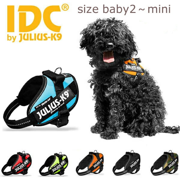 JULIUS-K9 ハーネス 緑 赤 2個セット サイズ0 中古 Amazon | IDCパワー