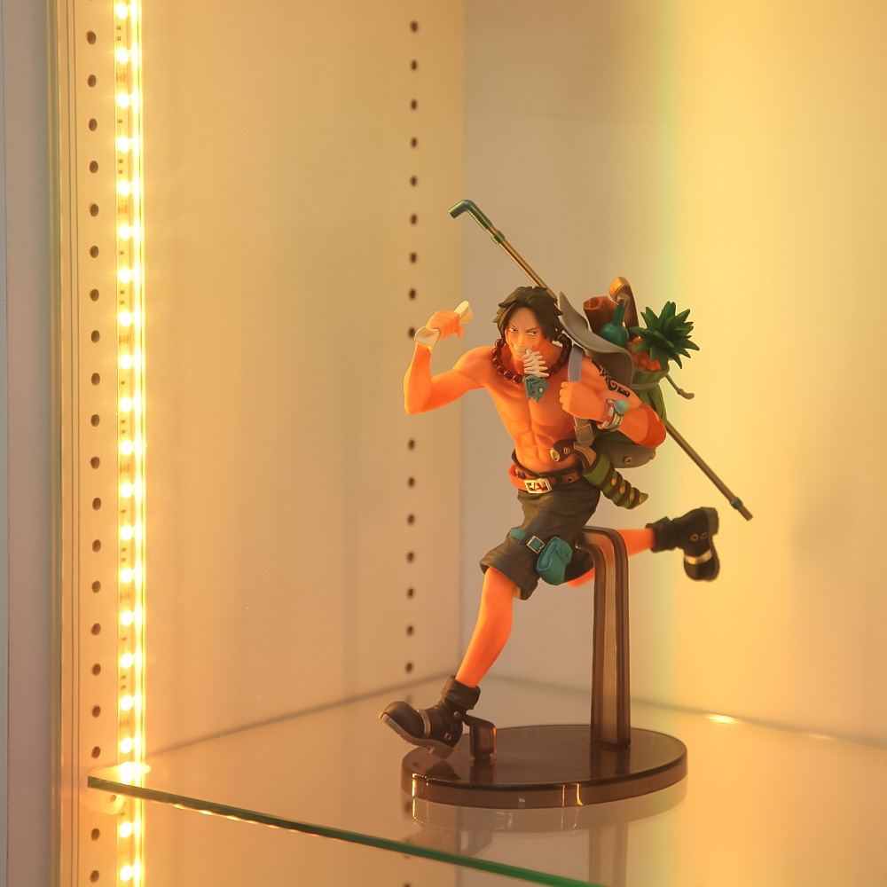 コレクションラック レギュラー・ワイド 専用オプション LEDRGB