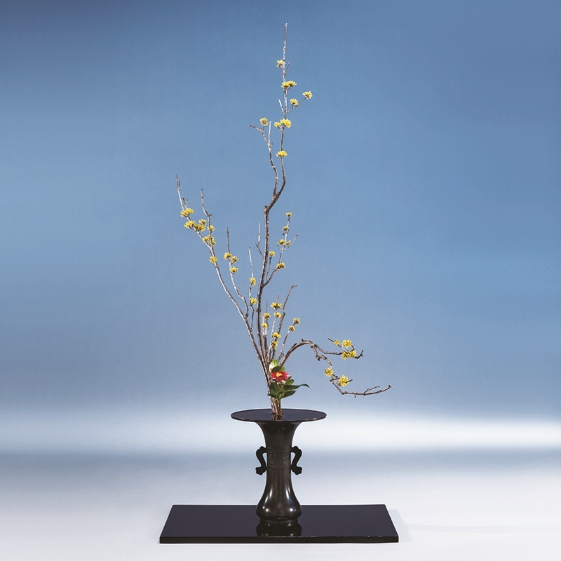 晴波(せいは) | 花器・花瓶,銅器 | フラワーショップ花楽