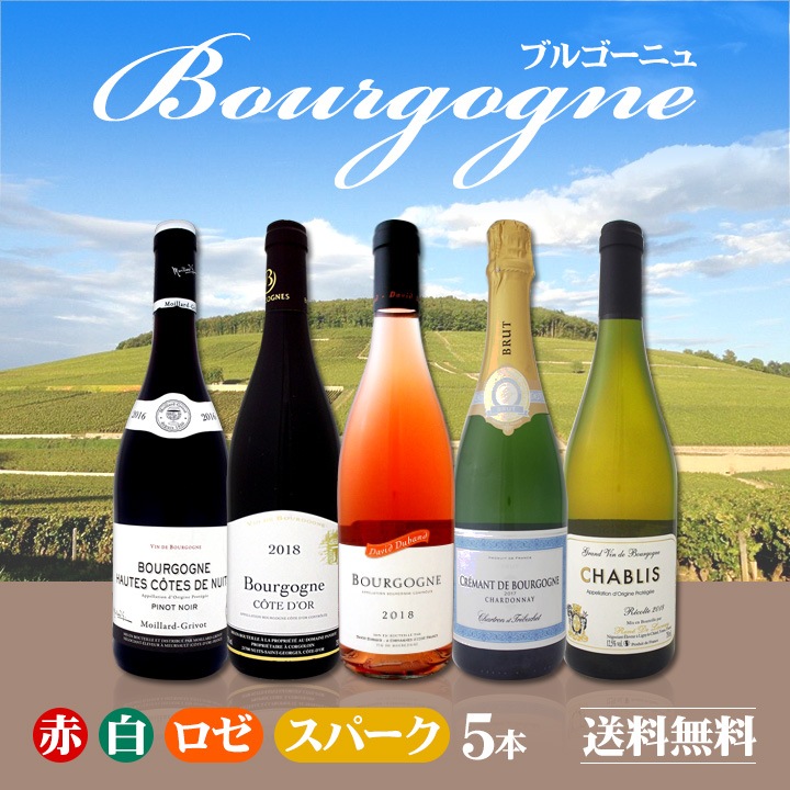 ルロワ ブルゴーニュルージュ・ブラン 2014 2本セット ルロワ