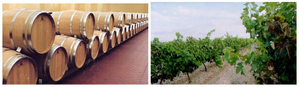 アリオン 2016 赤ワイン | 赤ワイン | 京橋ワイン