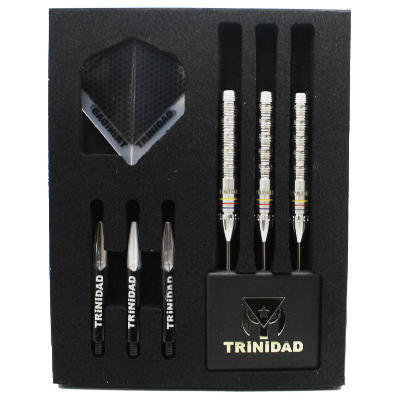 トリニダード レイモンド スティール TRiNiDAD RAYMOND STEEL ダーツ