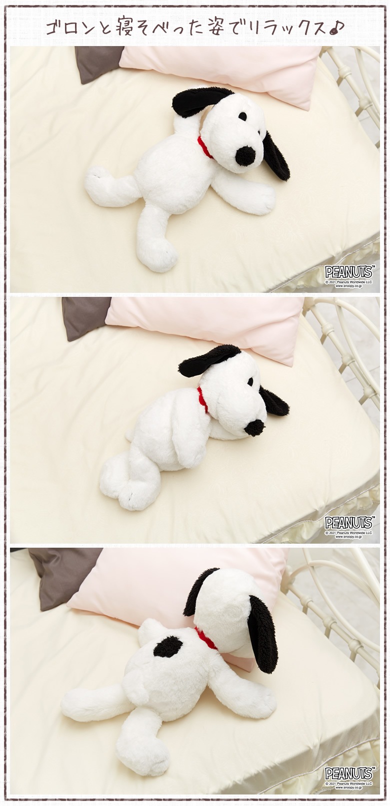 セキグチファンダイレクトショップ本店