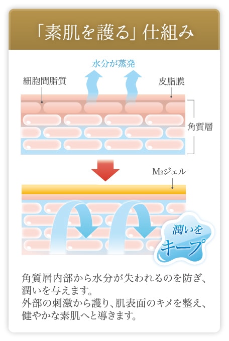 ルイボM2 ジェル