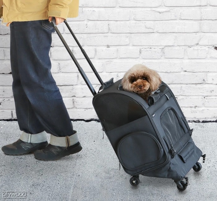 エアバギー フィット フラットアンドゴー AIRBUGGY FITT | 送料無料