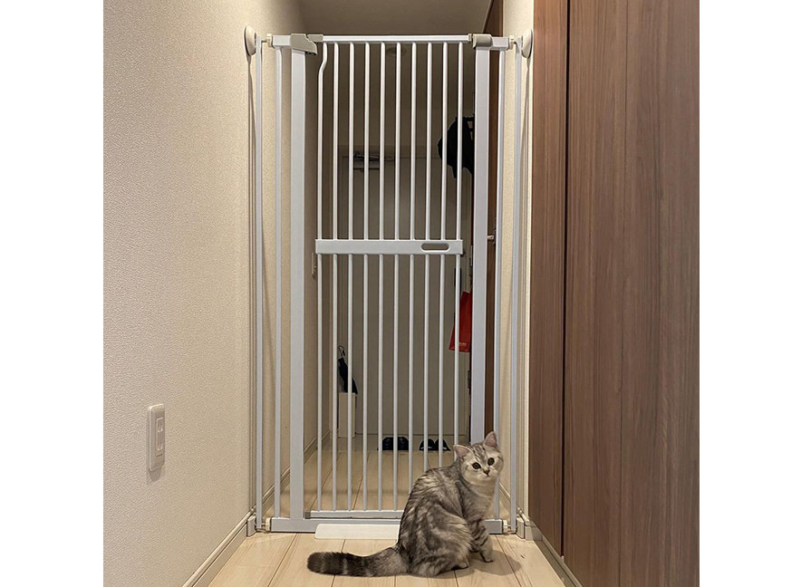 島袋商店｜自社開発のペット用品ブランド「LIFAXIA（リファシア）」を