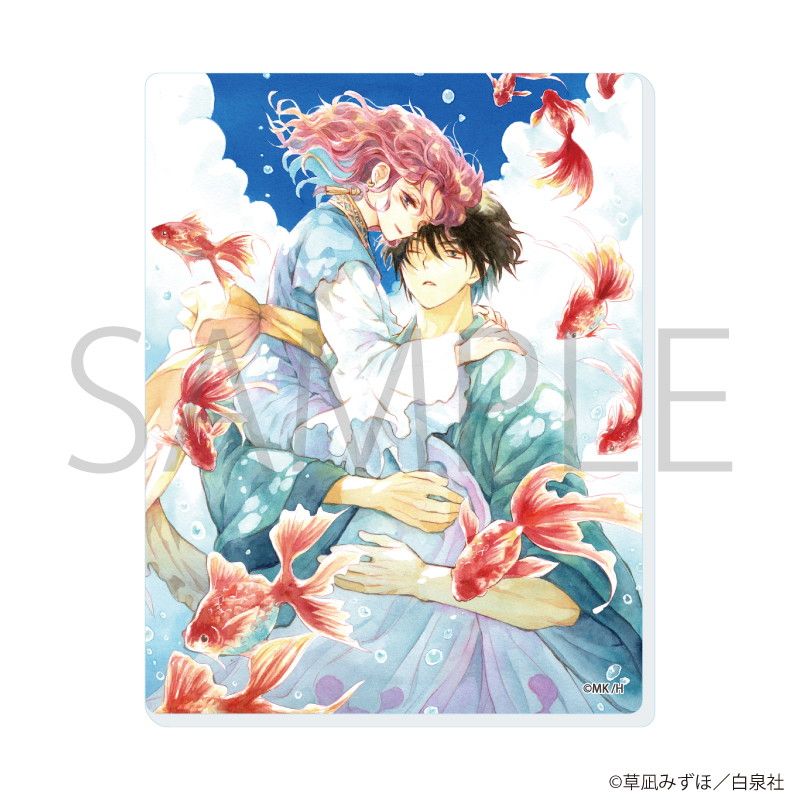 暁のヨナ 23 イラスト集付き限定版 暁のヨナ 限定版・特装版セット 暁