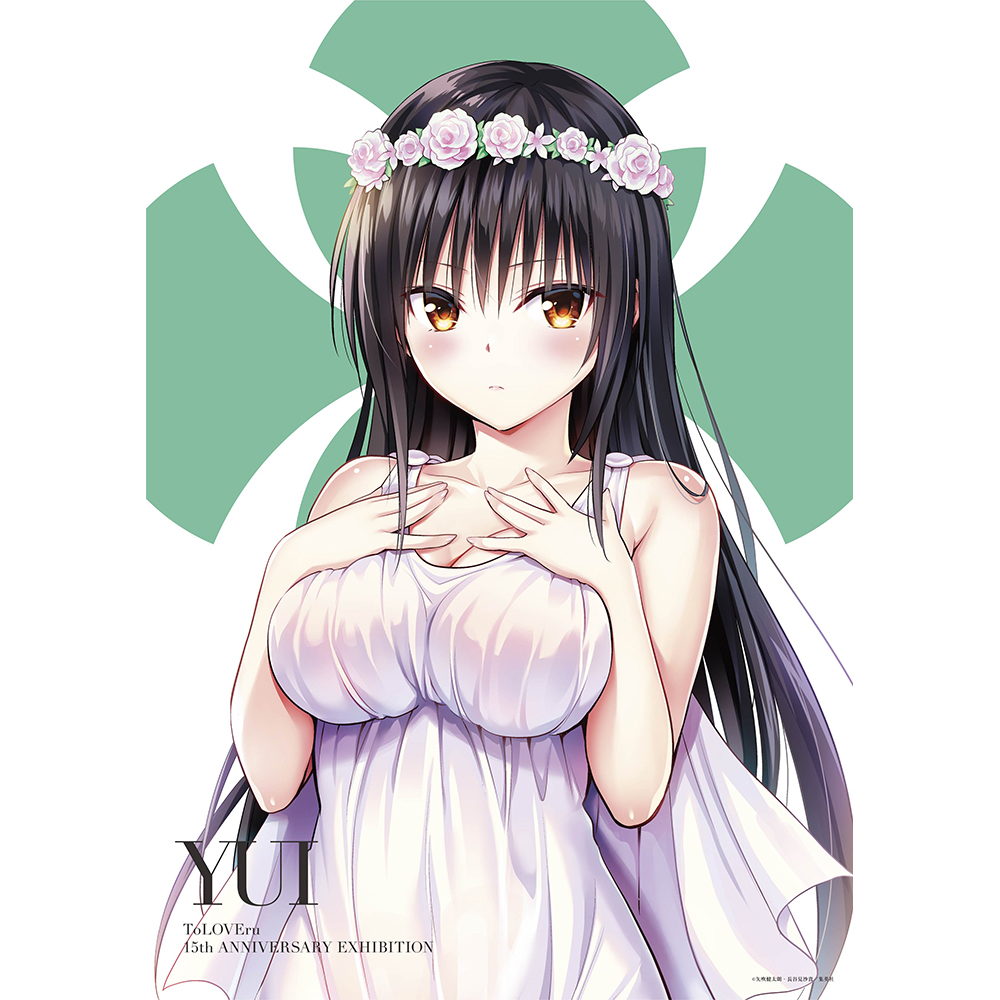 ToLOVEる】原画展 アクリルパネル 生産終了 ToLOVEる】原画展 アクリル