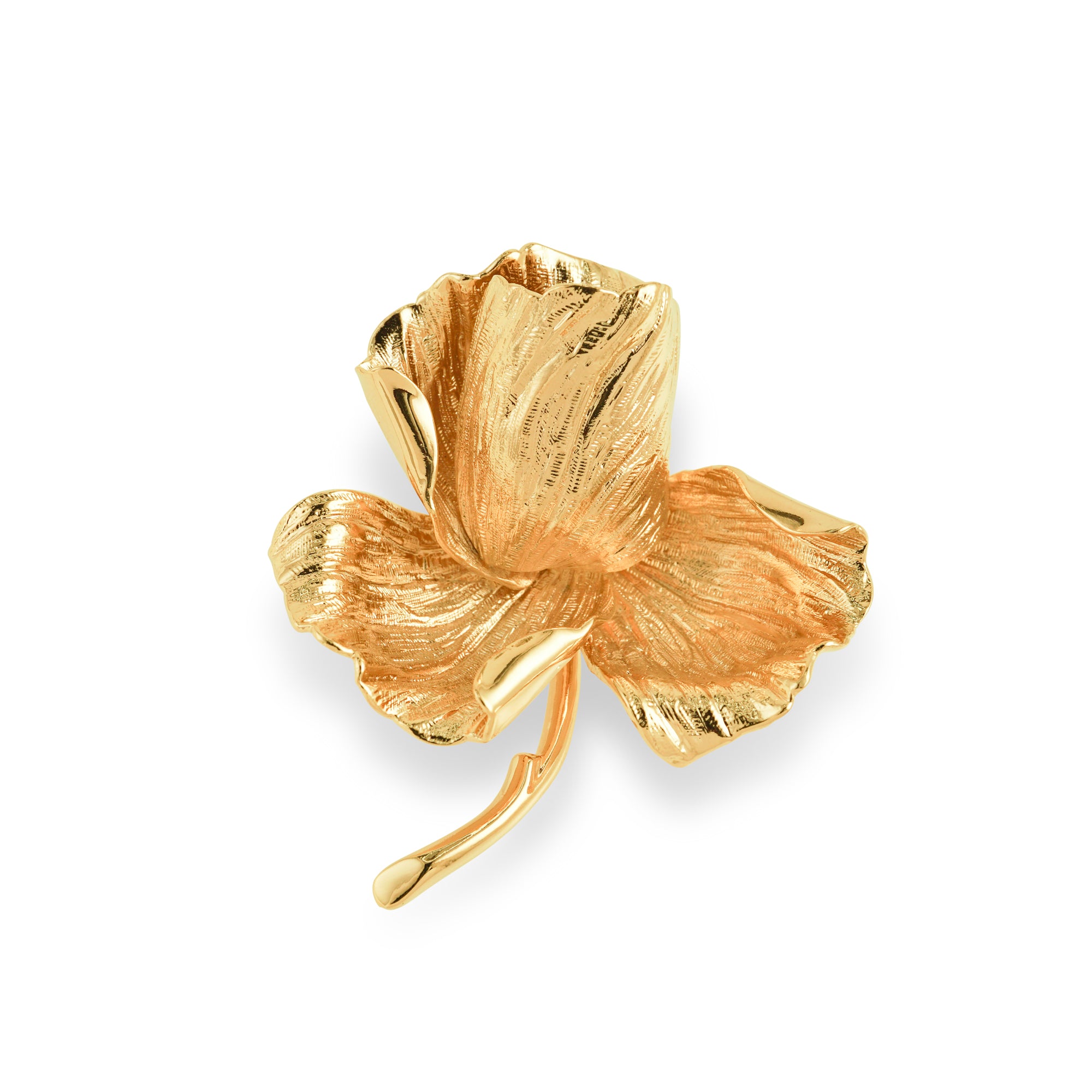 GJ30546.jpg?crop=center&height