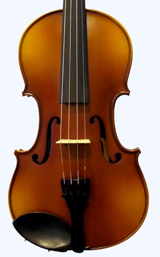 Raggetti RV2 Violin Outfit 1/4 - Alex Grant Violins