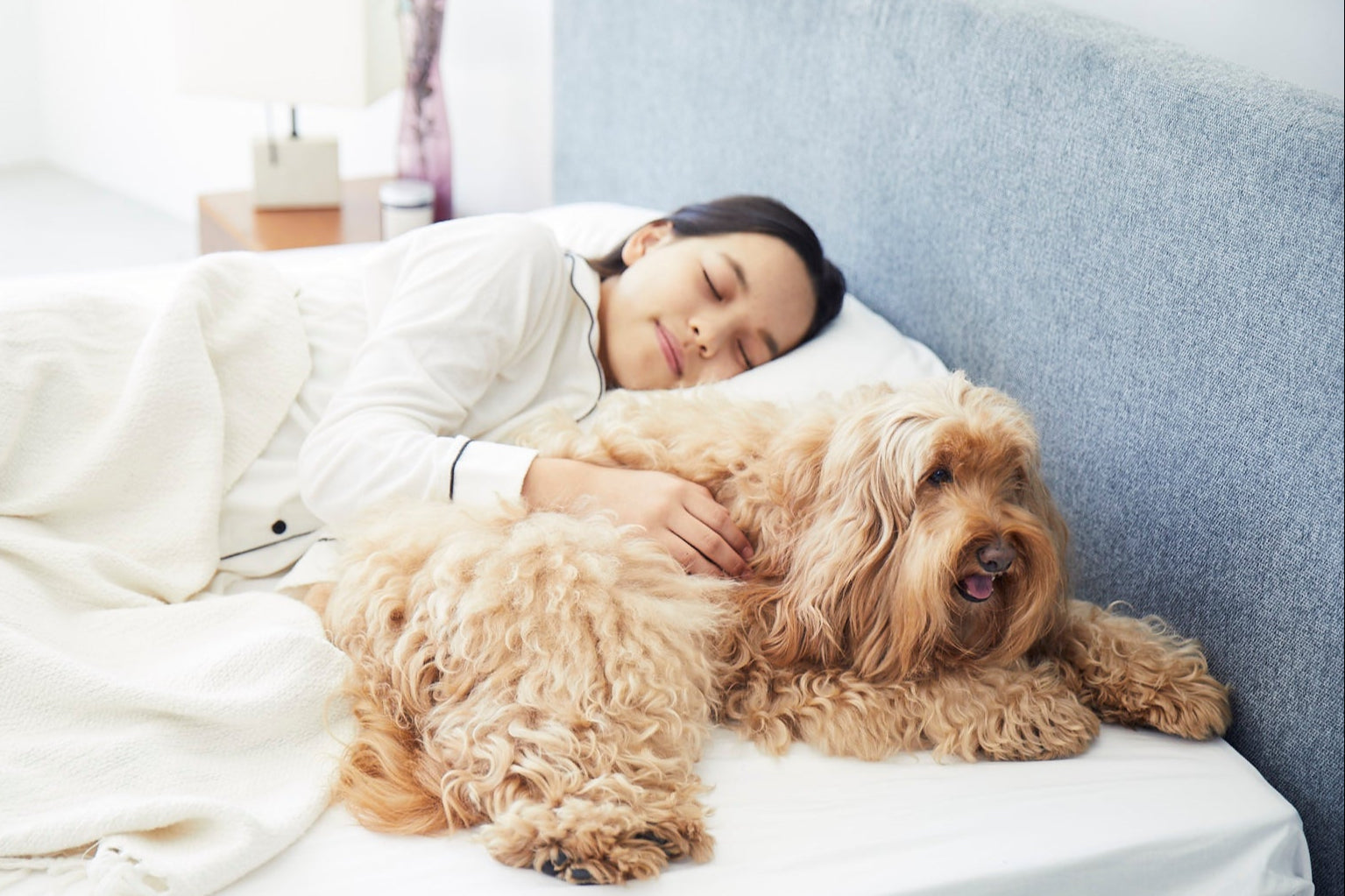 人間工学に基づいて作られた犬用ベッド｜グーグースリープ【公式】