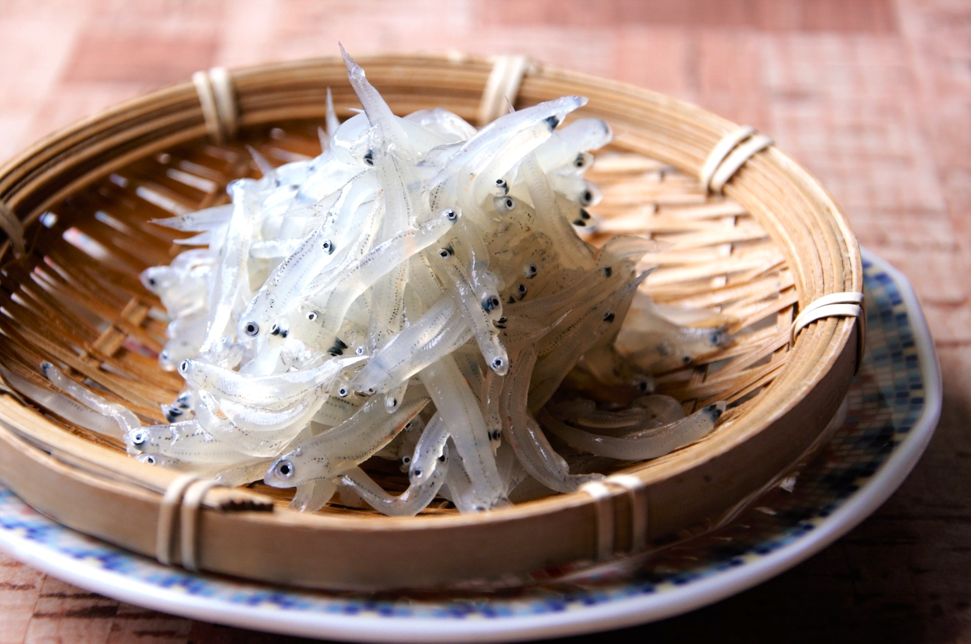 しらす様専用 小売業者 しらすさん専用 しらす様専用 しらすさま 専用