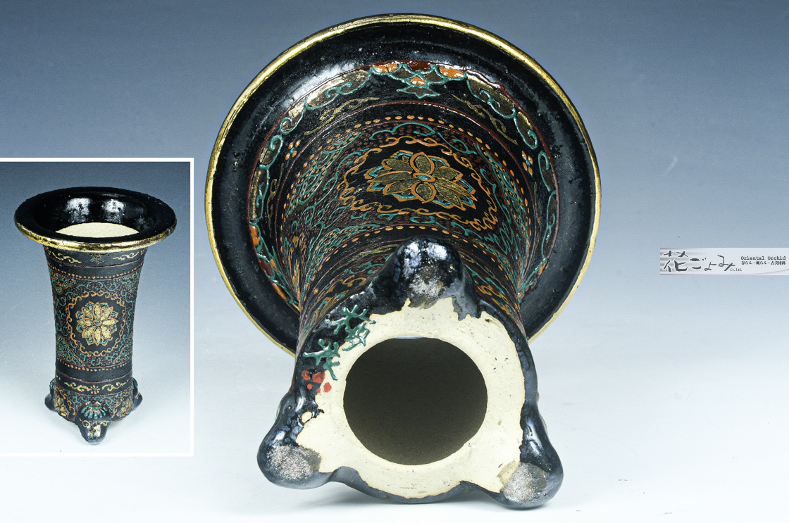 色彩豊かな最新作！【古鉢写し京樂蘭錦鉢】梅花作 - 東洋蘭専門店