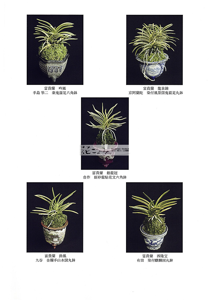 公益社団法人 園芸文化協会「園芸文化賞」祝！受賞・再入荷