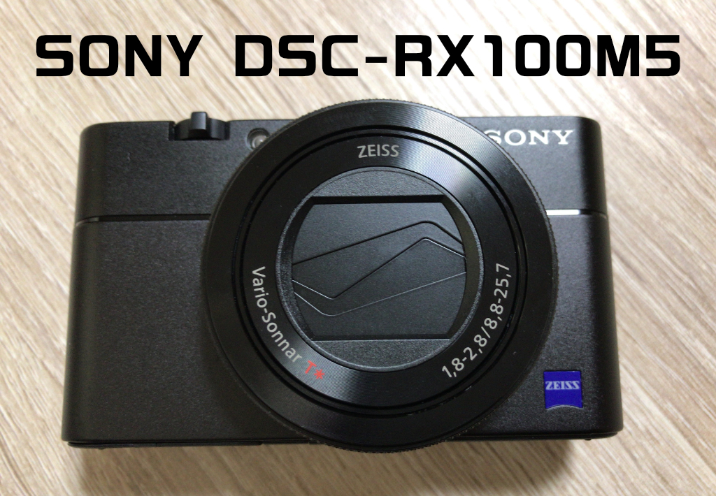 SONY RX100M5 コンパクトデジタルカメラ 動作確認済 SONY RX100M5