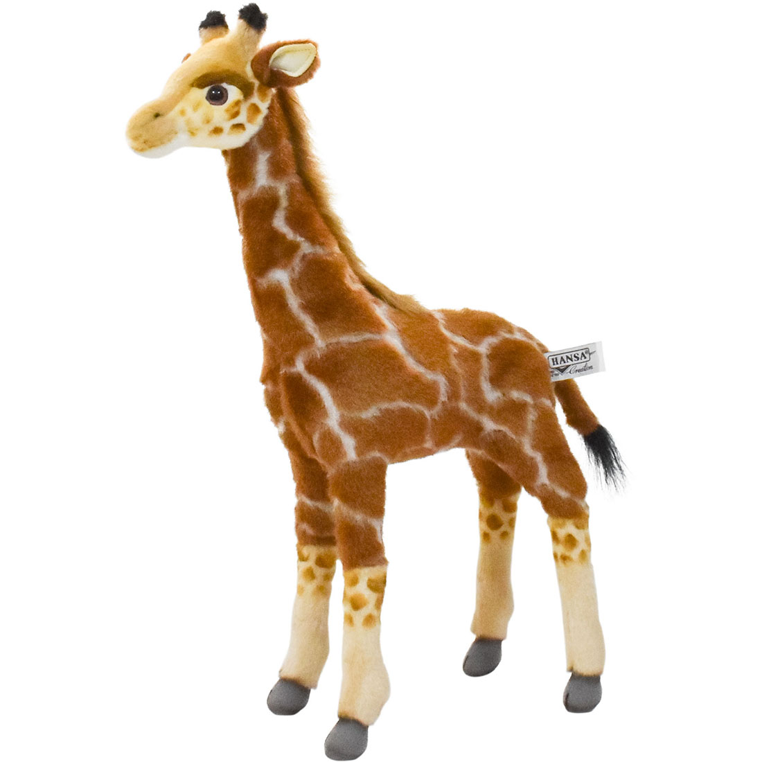 キリン 50 | HANSA