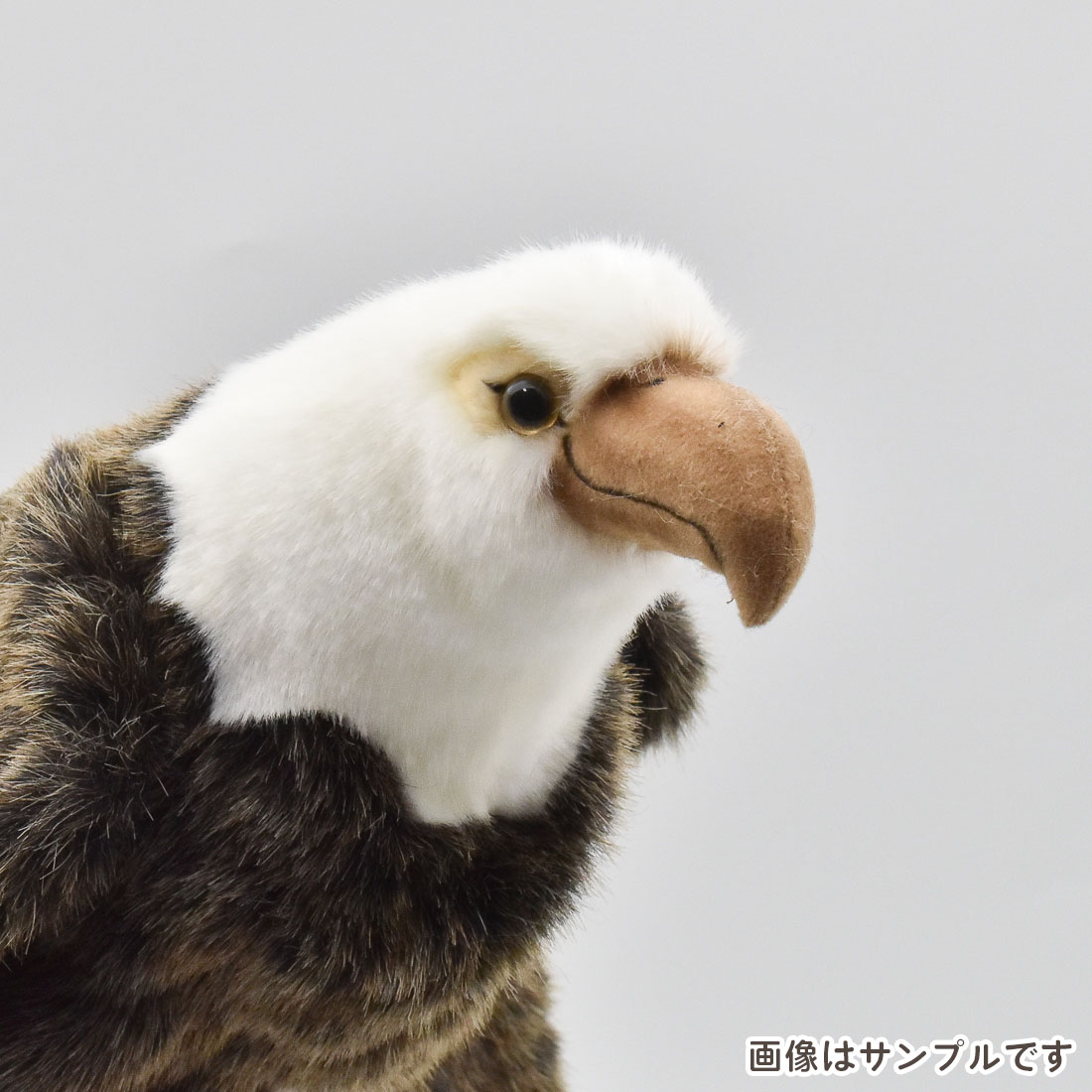 羊毛フェルト・鳥・猛禽類・ハクトウワシ・脚革・フライングジェス